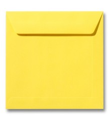 Envelop - Roma - 17 x 17  cm - 50 stuks - Abrikoos