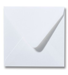 Biotop enveloppen -  15 x 15  cm - 120 g/m2 - Puntklep - gegomd