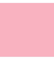 Rainbow  - Licht Roze  - kleur 54 - 92x65 - 80 g/m2 - 250 vel