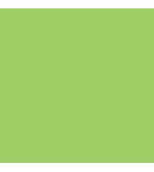 Rainbow  - Midden Groen  - kleur 75 - 92x65 - 80 g/m2 - 250 vel