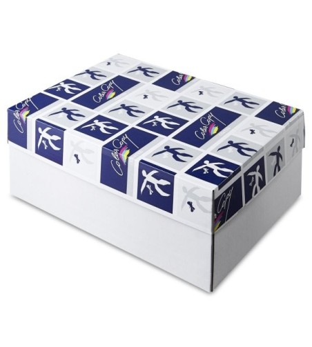 Color Copy Glosscoated - A3 - 135 g/m2 - 250 vel