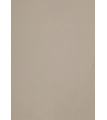 Curious Matter Dry toner - Andina Grey - SRA3 - 270 GM  - 100 vel