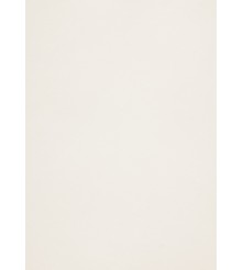 Curious Metallics Dry Toner - Zilverwit - 120 GM - SRA3 - 250 vel