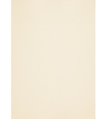 Curious Metallics Dry Toner - Cryogen White - 240 GM - SRA3 - 100 vel