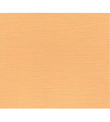 Linnenpersing - Zalm - A4 + Ril - 240 GM