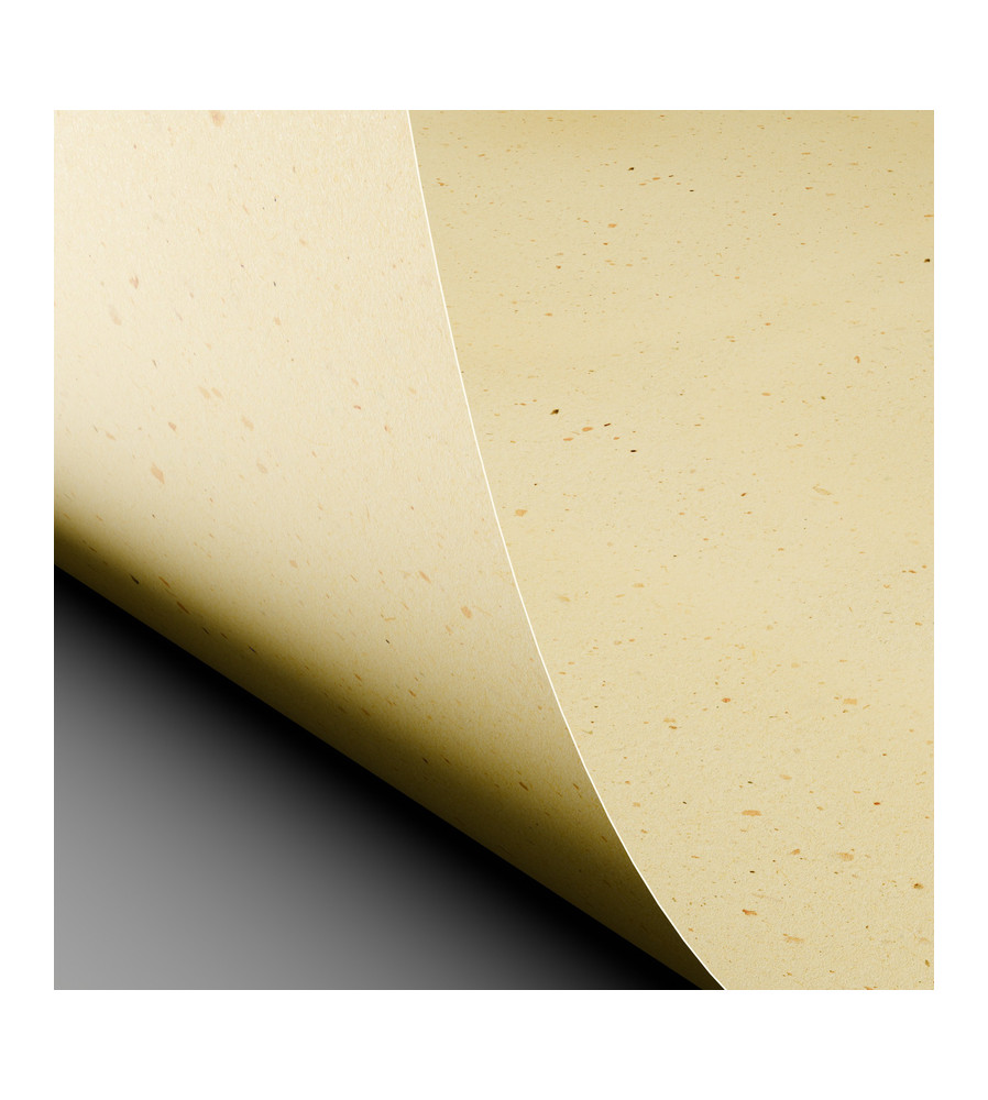 Curious Particles - Cream Rose - 120 GM - SRA3