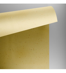 Curious Particles - Cream Rose - 240 GM - A4